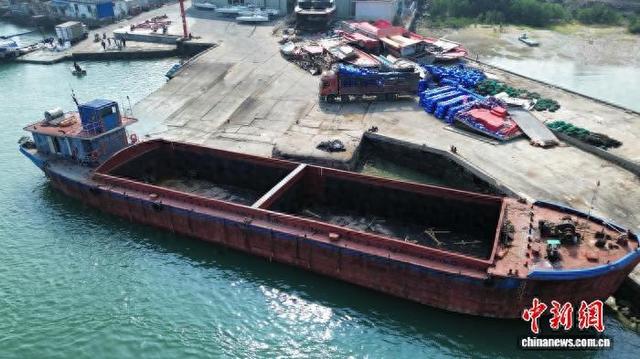 广东海警局查获一宗走私松树案 案值约610万元