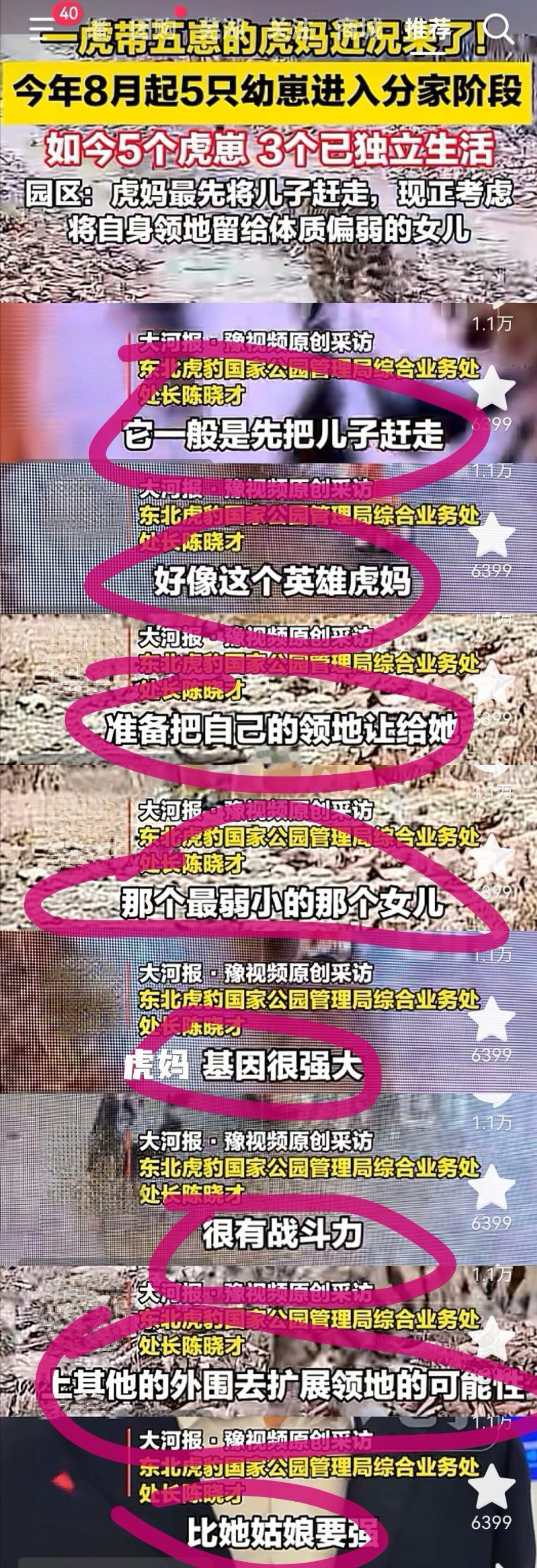 我威风强壮的妈咪😿​​​