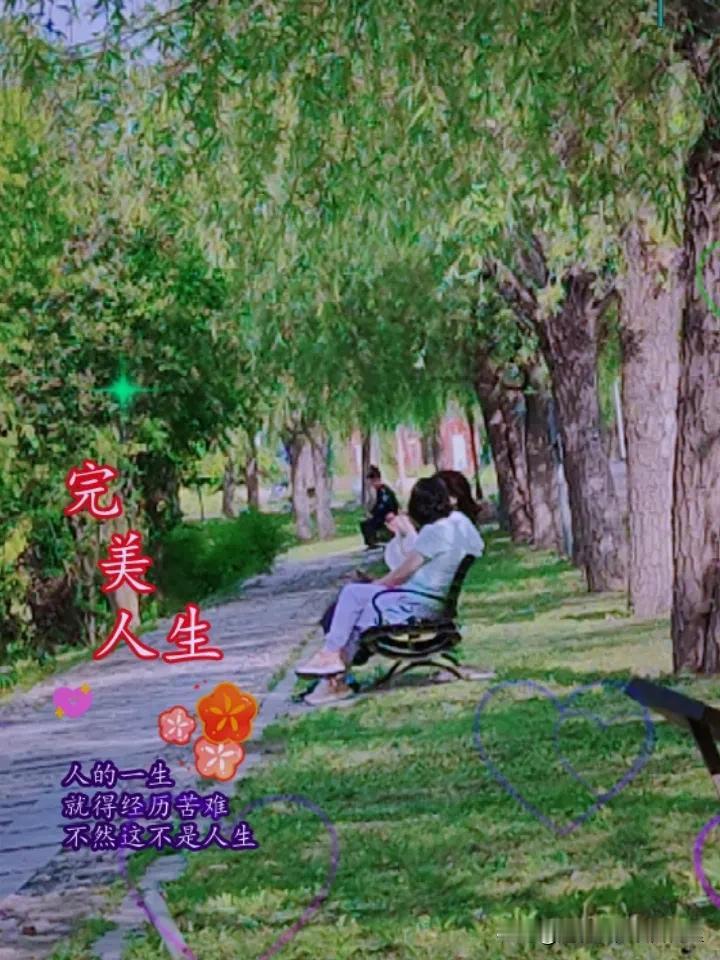 上海市的5档养老金是如何形成的？第1档是精英档，养老金12000元以上，主要是