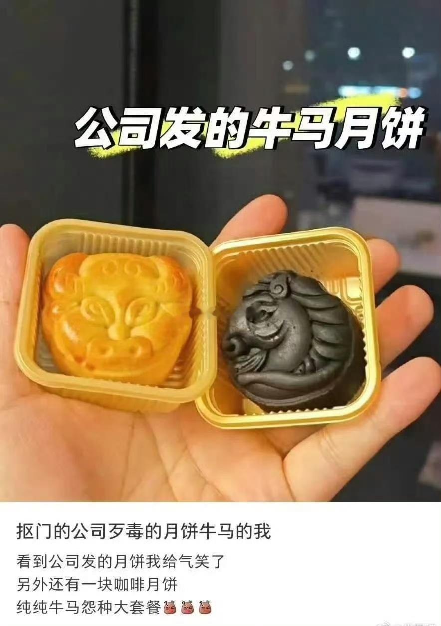牛马月饼？？？砂仁猪心馅的~~~海阔试车超话​​​