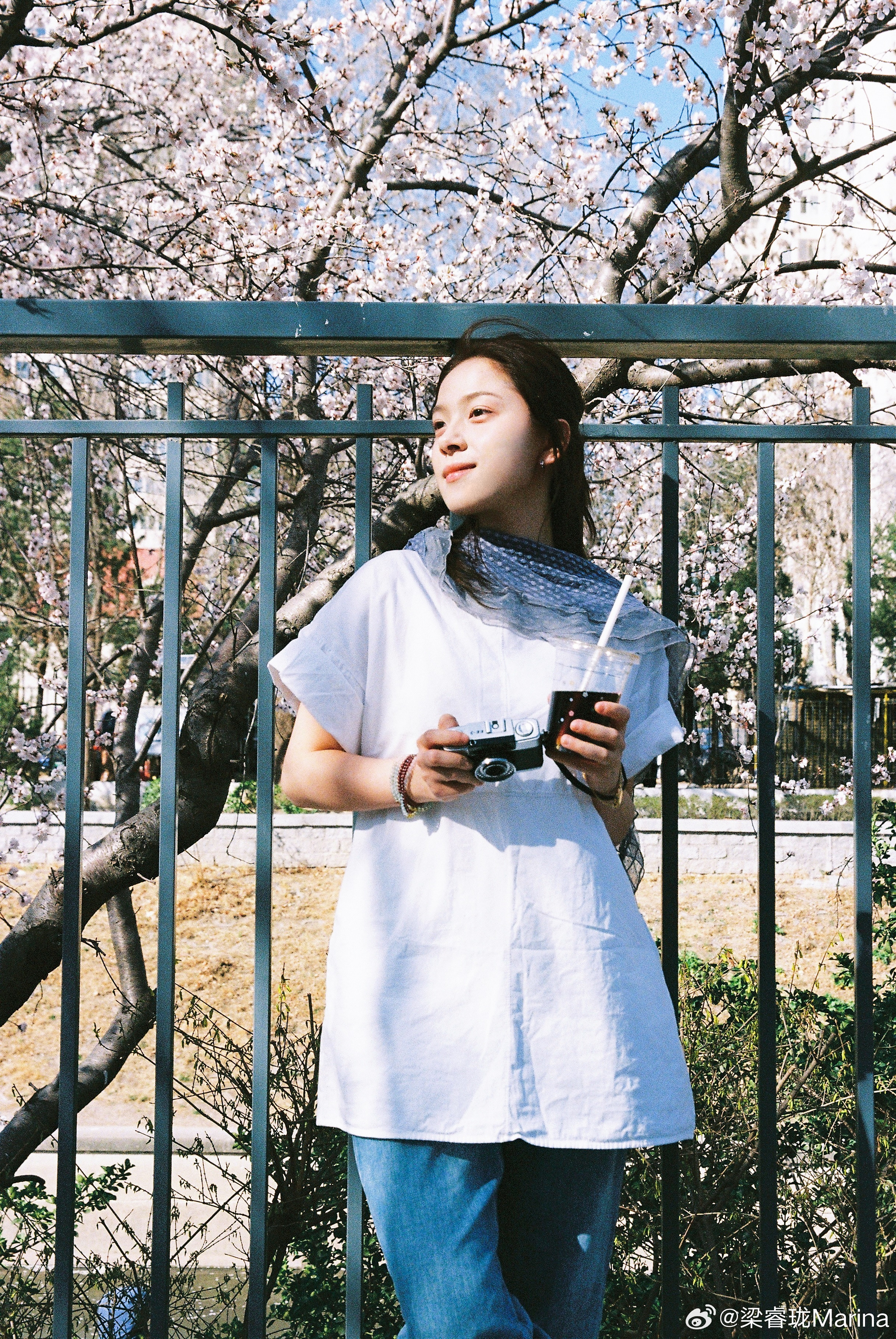 赏春日樱🌸马卡珑我的清明游记