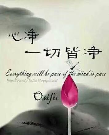 从写代码到算八字，他没换脑子，只是换了个屏幕。理工男不信玄学，但信数据。八字