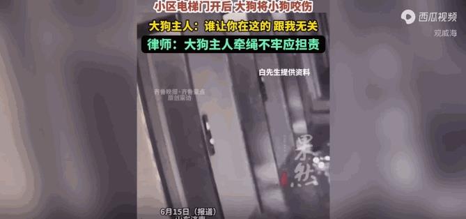 悲剧还是发生了！近日，山东济南，一男子牵着自己家的小狗等电梯时，电梯下来后门打开