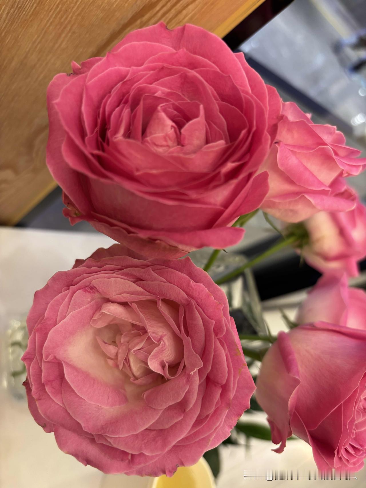 我同事的退休生活真的太让人羡慕了！50岁，一辈子没结婚，没孩子，自己挣钱自己花