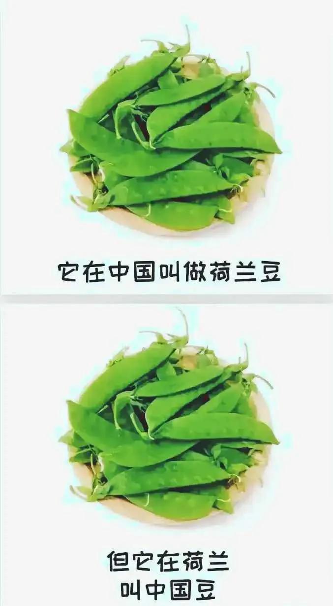 这货到底经历了什么