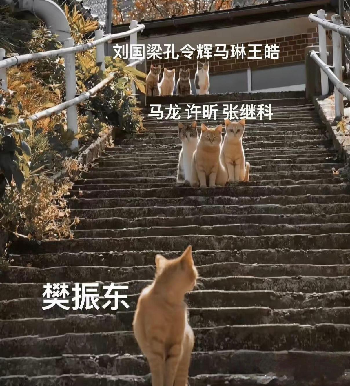 巴黎男单赛场樊振东独战,无人帮扶,他一个人面对的是一场关乎国家荣誉、国乒荣耀,不