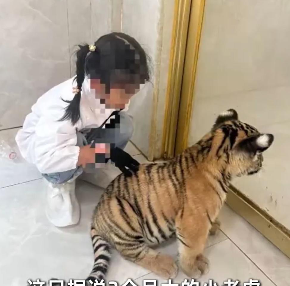 8月30日，冯女士带着7岁的女儿到广西省贵港市平南县雄森动物大世界游玩。在园内，