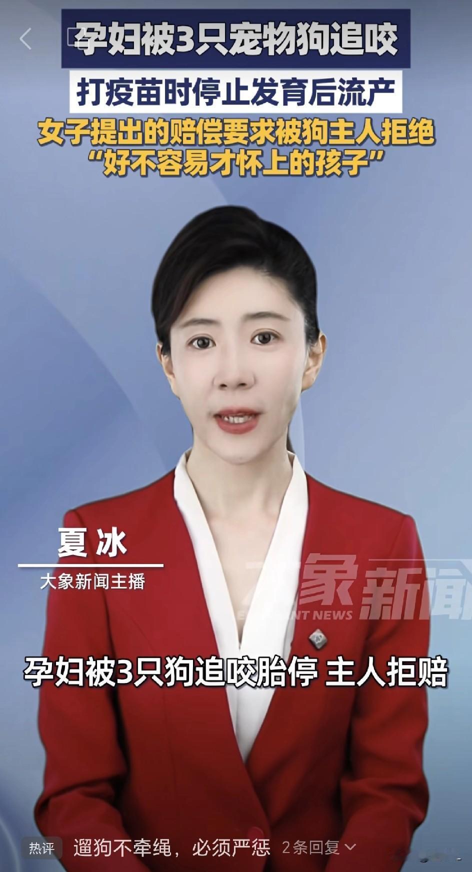 “那是我们盼了好久的孩子啊！”孕妈被狗追咬致流产，维权路上夜夜无眠，肇事方仅愿赔