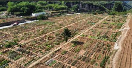 山东济南一名男子把家里10亩地分成200份挂到网上出租，按月收费，结果不到10天