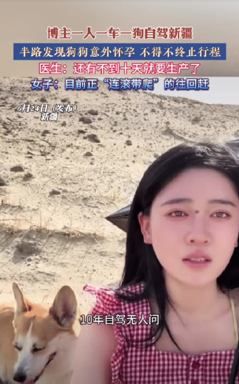 这女子说话太有趣了！四川一美女博主带狗狗自驾新疆:10年自驾无人问，意外怀孕天下