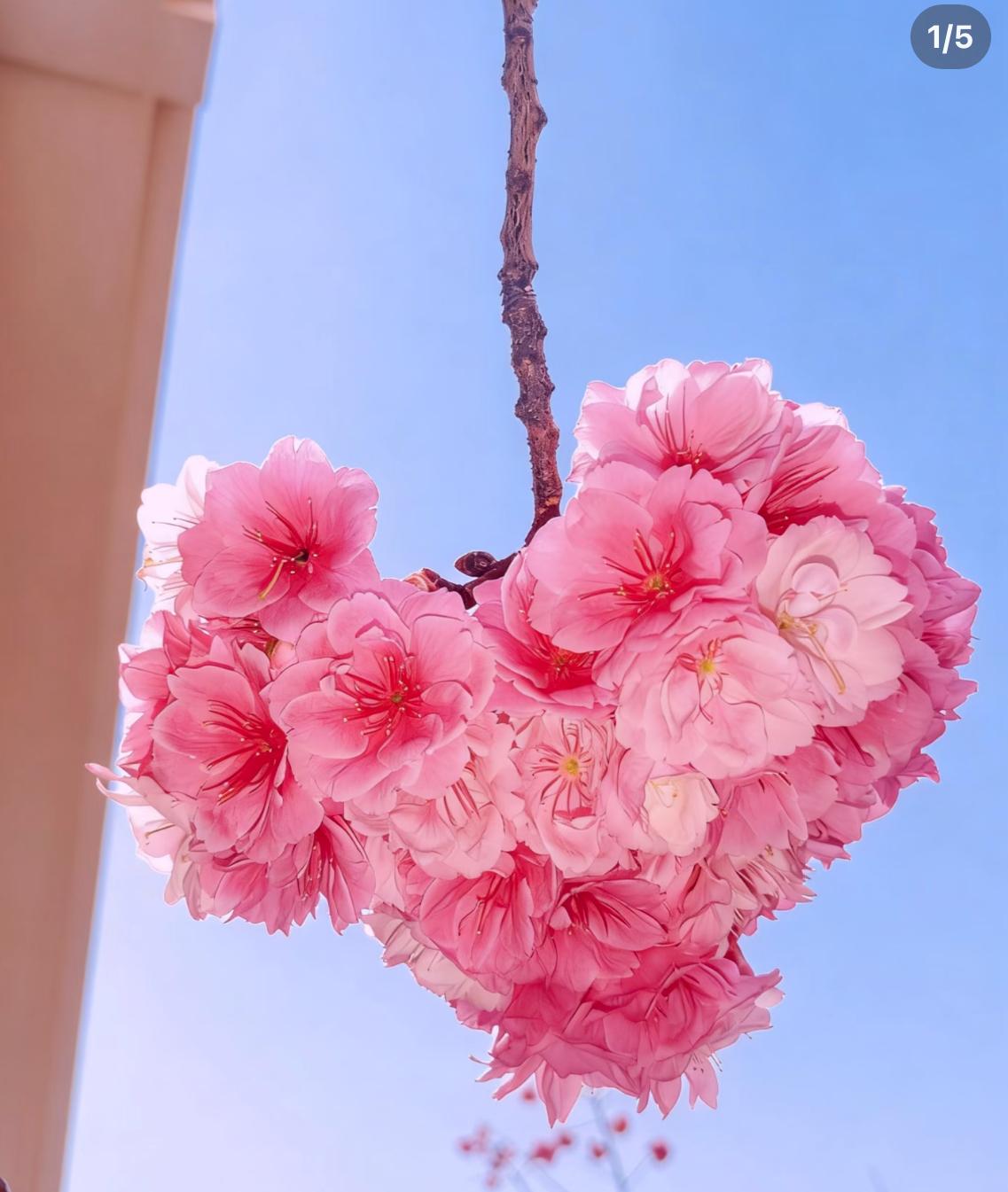 这世上所有的美好都在免费的滋养你，你从来都没有缺过爱，只是你总盯着别人的态度，