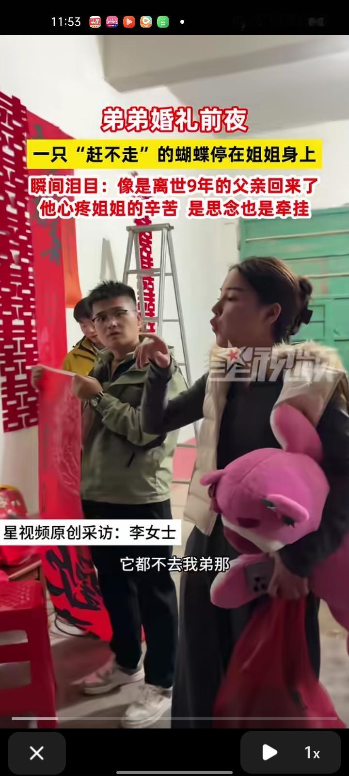 10月22日,驻马店市泌阳县。弟弟婚礼前夜,一只“赶不走”的蝴蝶,爬到姐姐身上,
