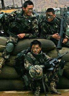 从2006年开始看【士兵突击】，到现在如今20年了。每年刷这部电视剧的频率不下