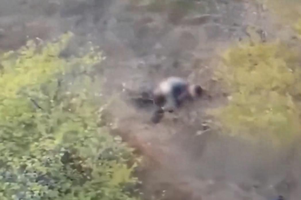 俄媒曝光视频：无人机救下一名正遭乌军性侵女子，士兵顾不上提裤子拔腿就逃，随后被击