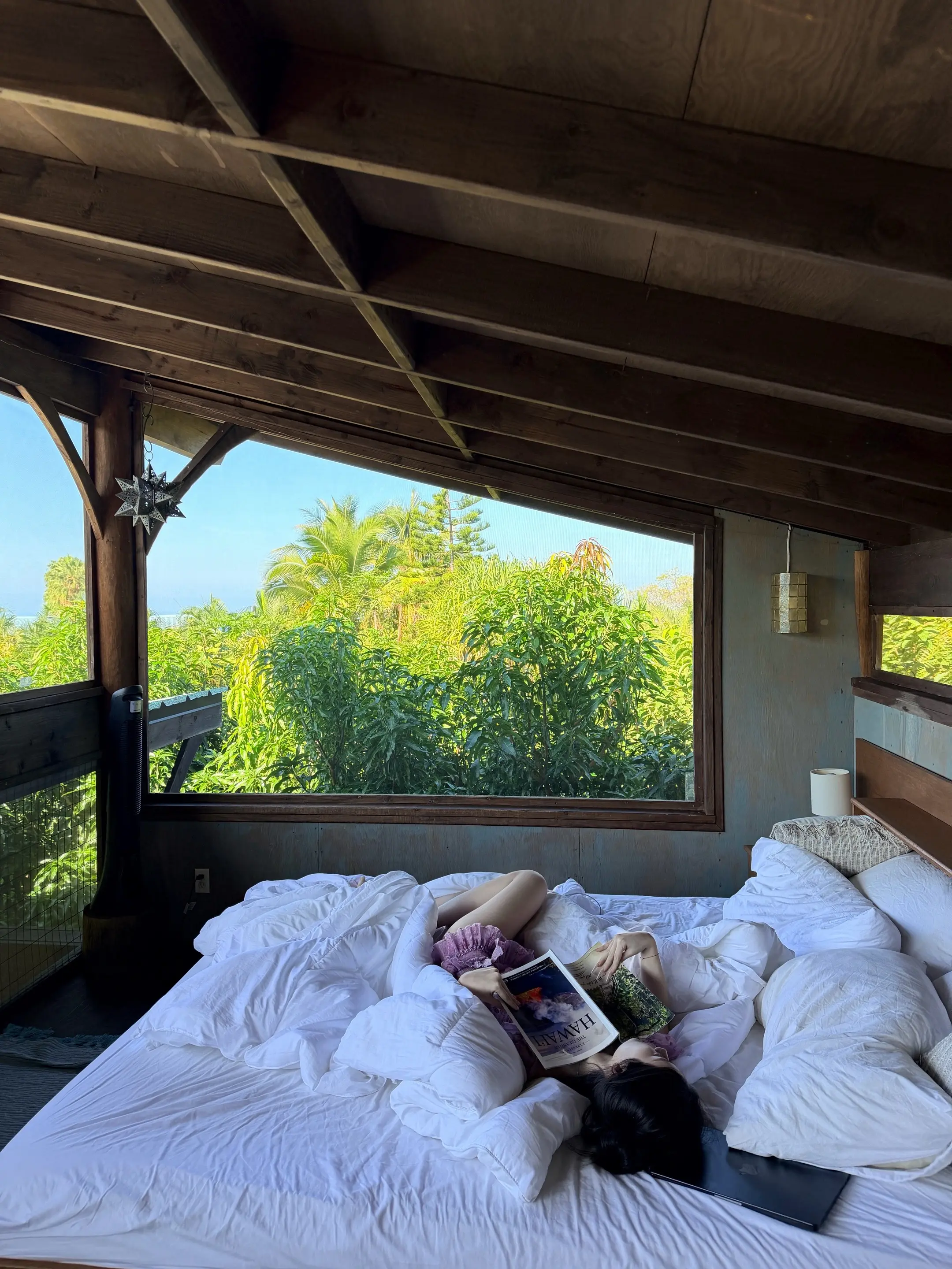 在夏威夷住到了超级想住的mango farm🥭 白天有小狗 晚上有小...