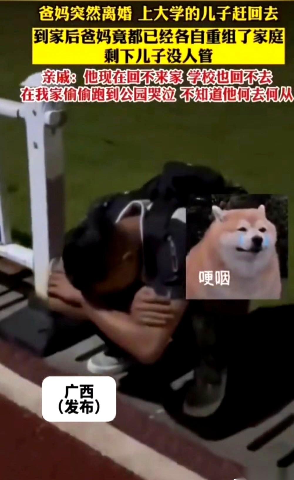 上大学的儿子得知爸妈突然离婚匆忙赶回了家。推开门发现父亲和母亲都各自重组了新的