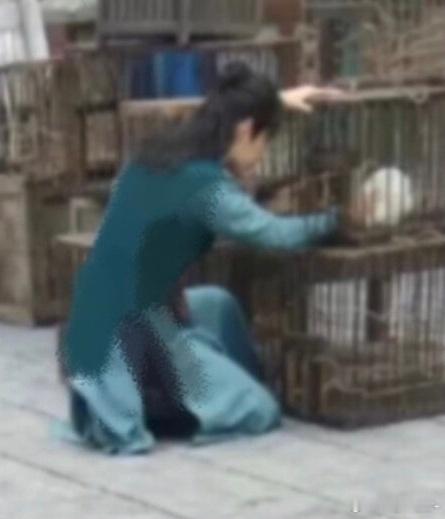 肖战：我可以变人但你不可以因为你是笨蛋！哼哼