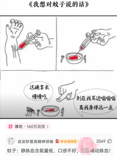 我想对蚊子说的话