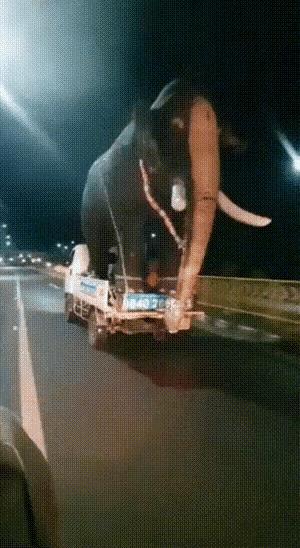 这活谁敢接？三哥就敢！