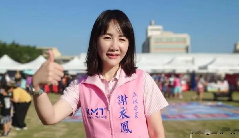 谢典霖自爆2300平豪宅引关注胞姊谢衣鳯切割“与我选县长无关”彰化县议会议