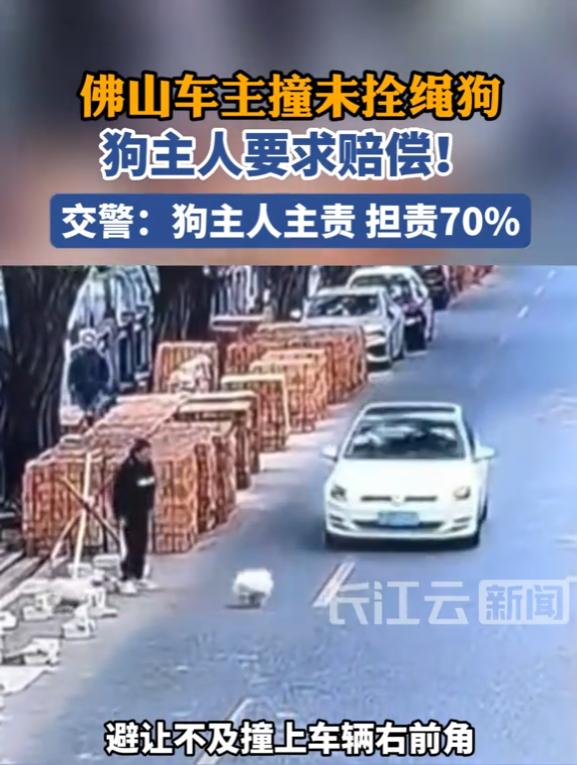 “冤不冤！”近日，广东佛山，一男子在开车时，一条未栓绳的狗突然窜出，男子避让不及