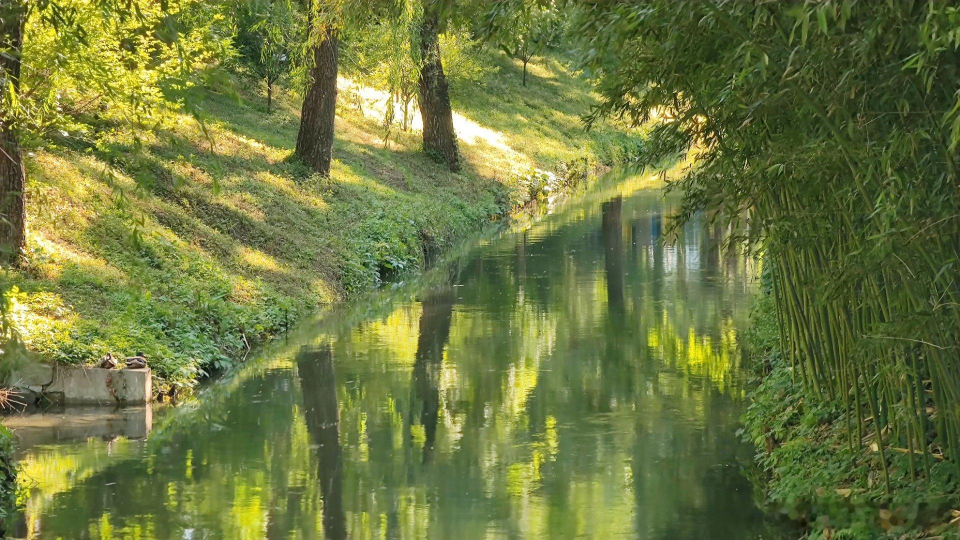 北京紫竹院公园夏日摄影​​​