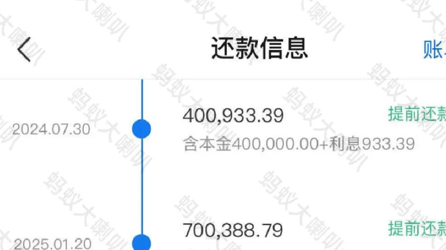大厂双职工(夫菊厂、妻鹅厂),提前还房贷110万,剩余月供0.08元