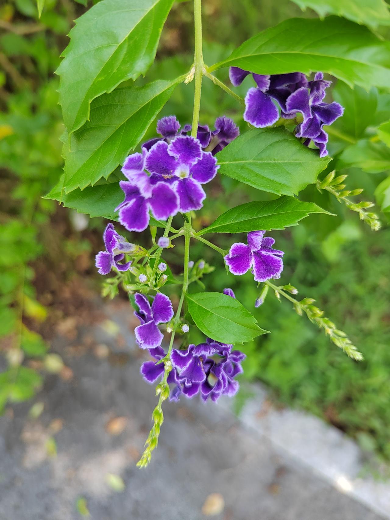 股民好运，从这4次“换”开始一个股民，好运真正启动，不是等来大牛市，不是抓
