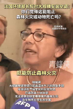 法国环境部长大谈空调无用论。用的还是老欧洲惯用的错位重点的诡辩。你跟他说，用上