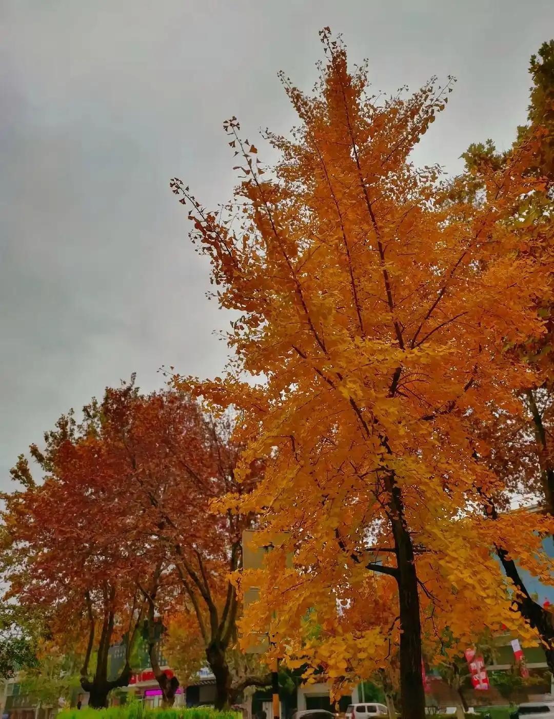 人啊，不作死就不会早死！我小区内有一个男的昨天早上突然死了，大家都说他是把自己作