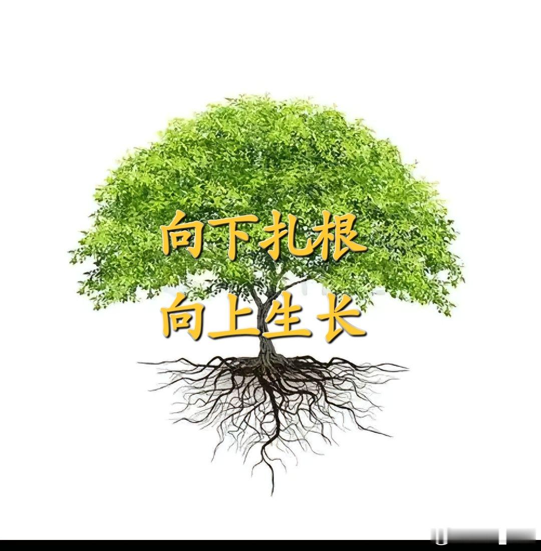 经验都是积累出来的，中医临床也一样1、补血不效者，要加入补气药，比如用四物汤不效