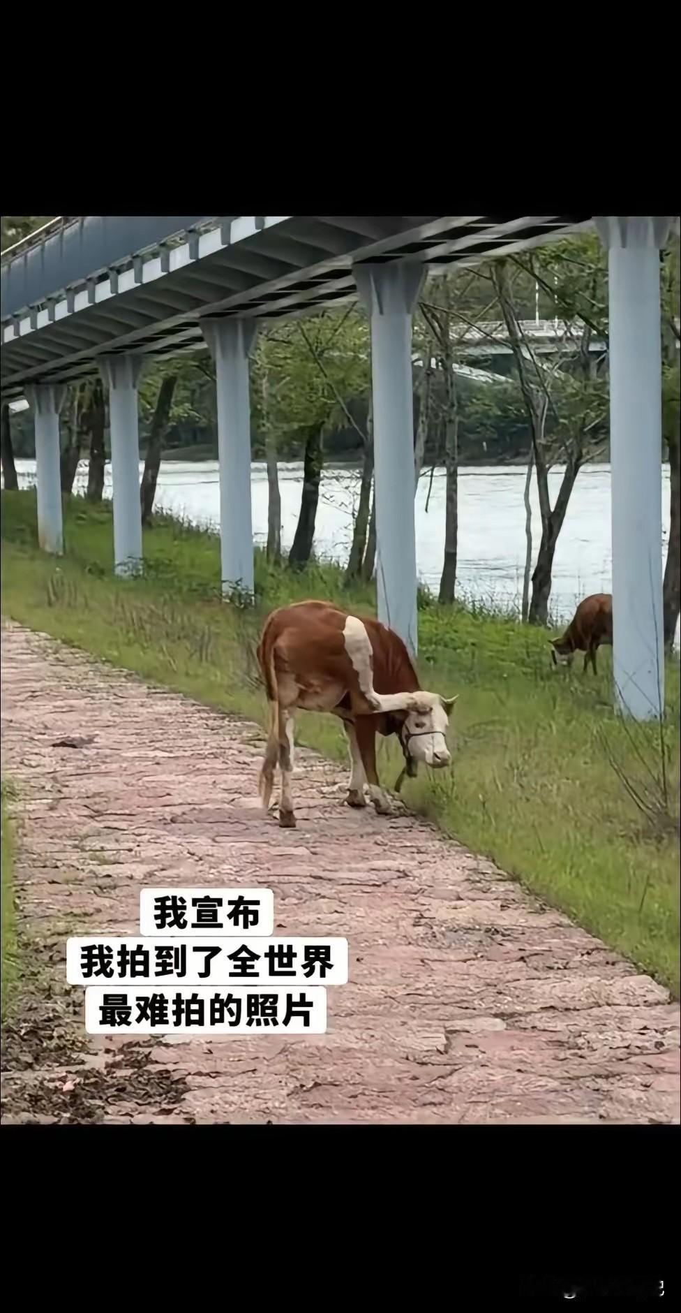 哈哈，要拿个摄影大奖[赞]