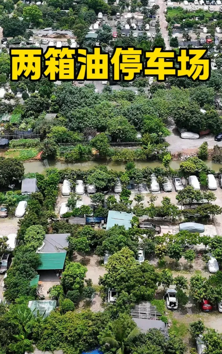 这里是广东最大的两箱油停车场，位于海珠区沥滘村，所谓两箱油，就是一年只跑两趟，一