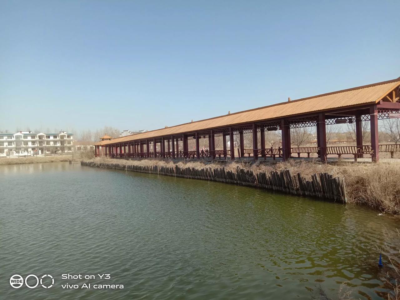 跟着80多岁的老母学养生，这个月轮到我照顾80多岁的老母，感觉也挺好的。吃饭