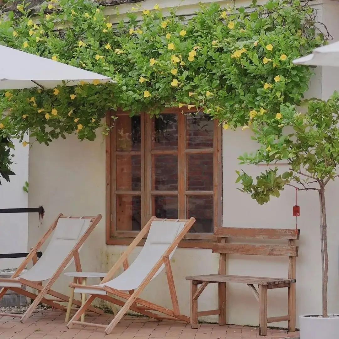 弘一法师曾言：“独处，是为了不陪他人演戏；不争，是为了放过自己的内心；远离，是对