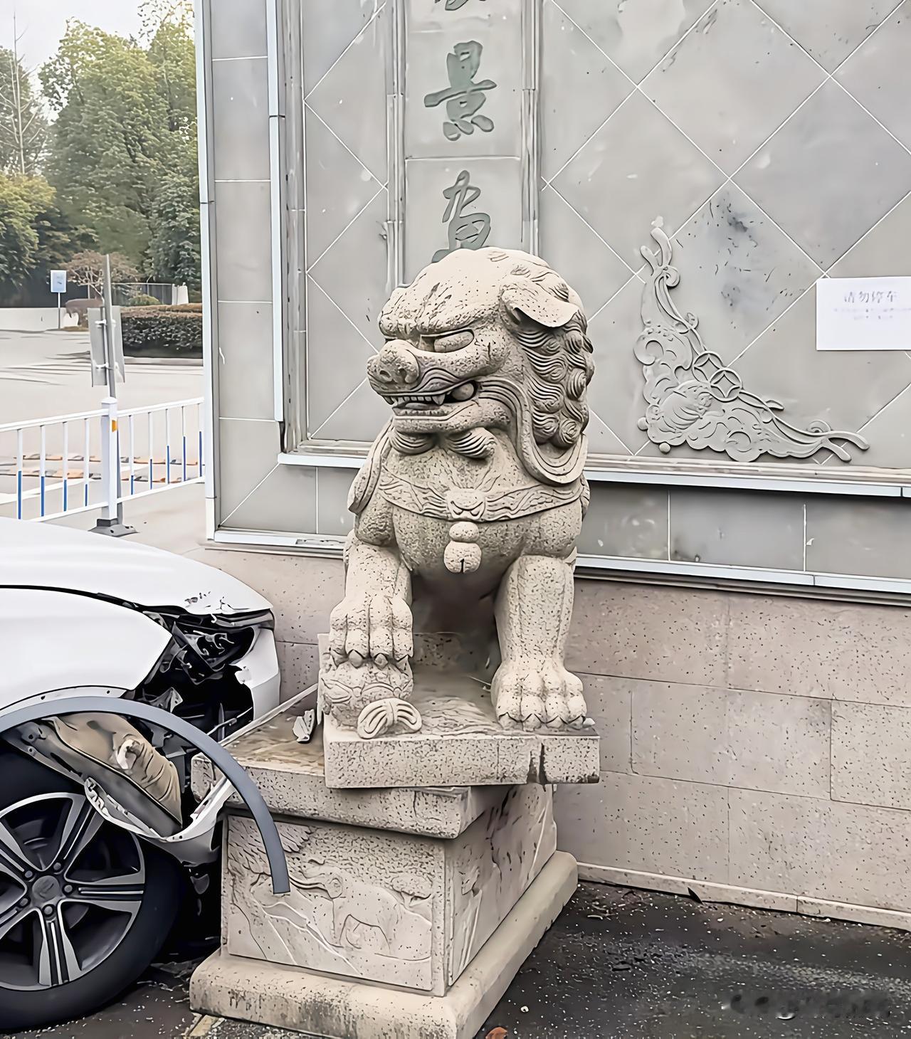 女司机：狮哥狮哥，你没事吧？我这油门当刹车了，不好意思不小心撞着你了。石狮