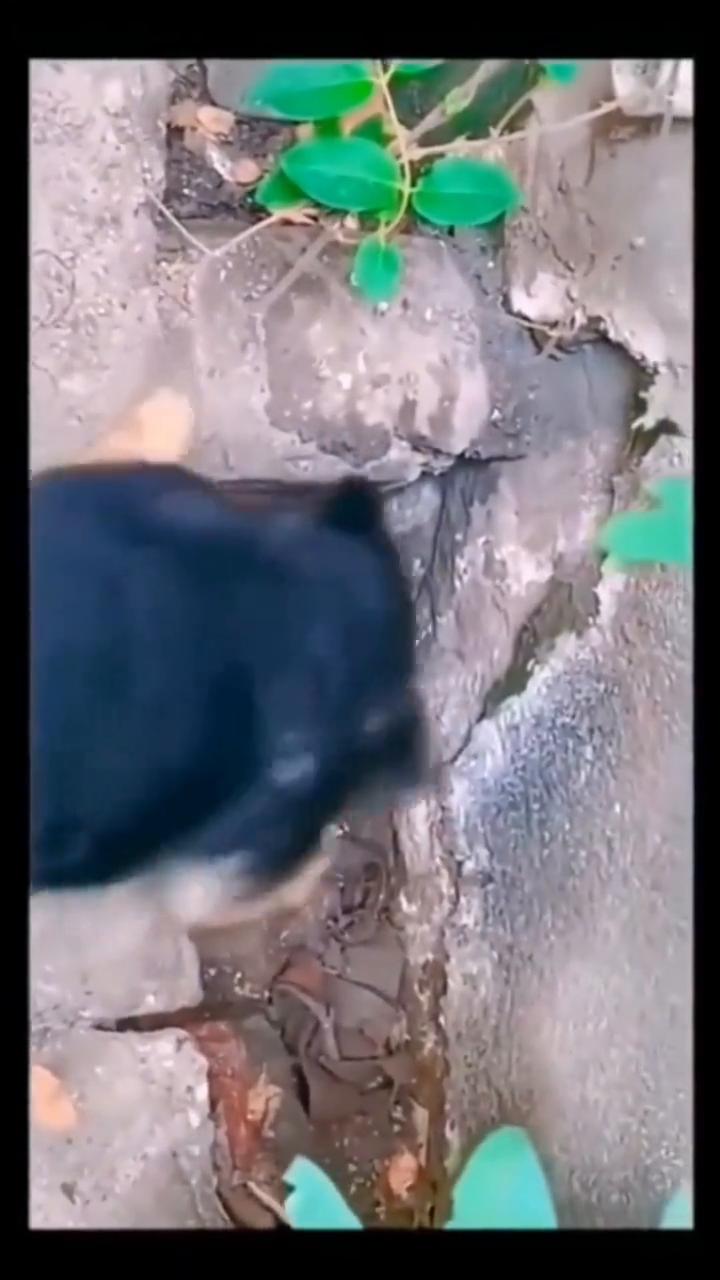 哎呀，我的天，哈哈哈。