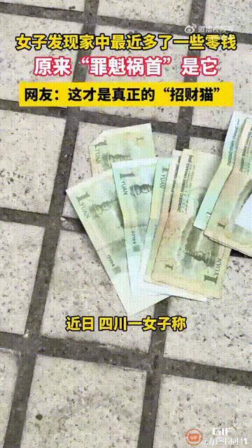 原来这才是真正的“招财猫”！四川一名女子最近发现一个问题，那就是家里总会莫名其妙