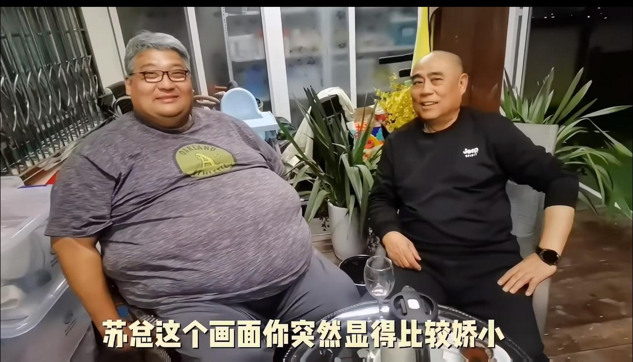 老苏总说苏醒的胖经纪人给了儿子靠山之感。哈哈哈，老苏总太会说了。他说龙哥的体