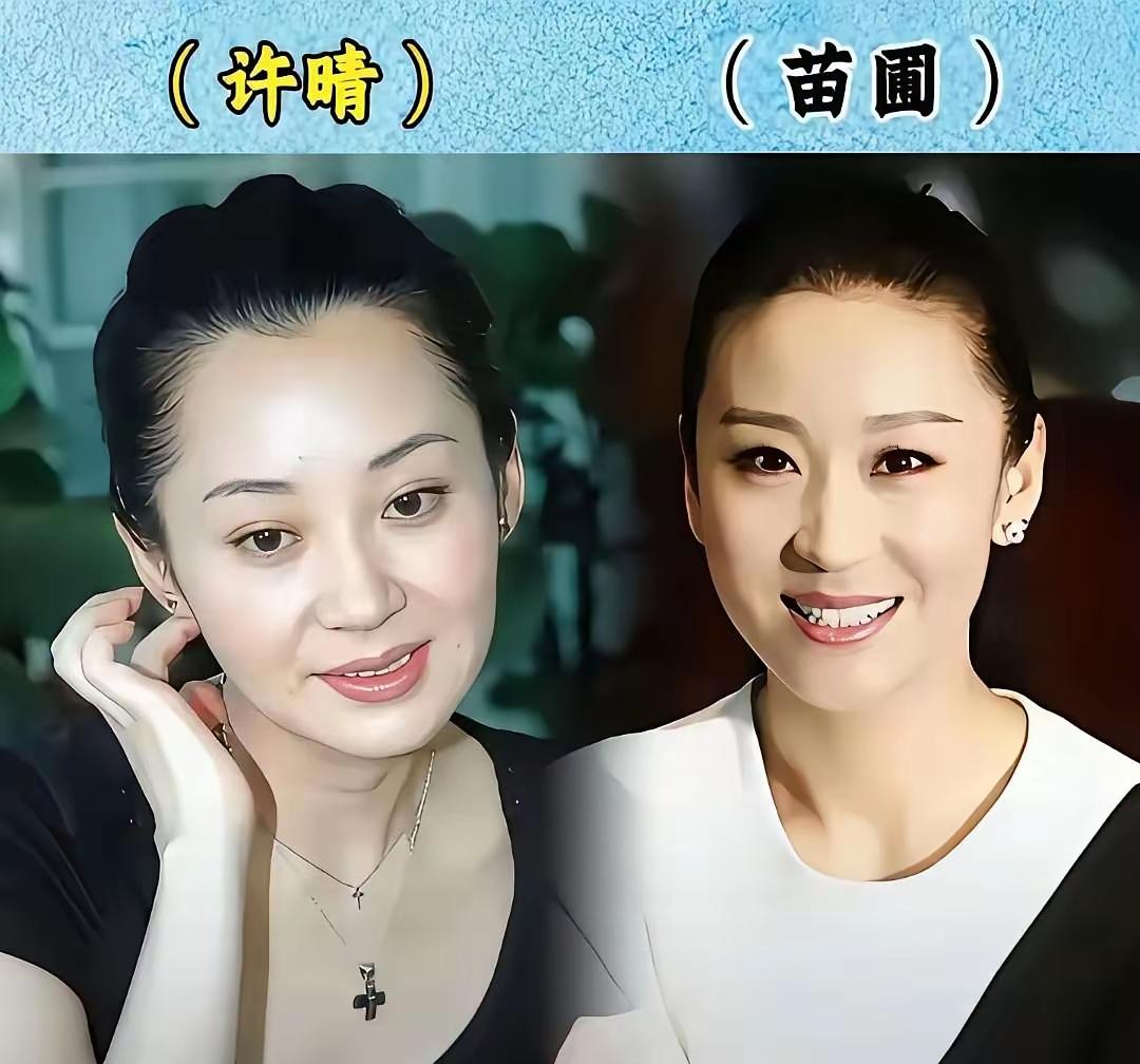 许晴和苗圃童谣和章子怡刘涛和曹曦文这三组明星长得也太像了，不知道的还以为是