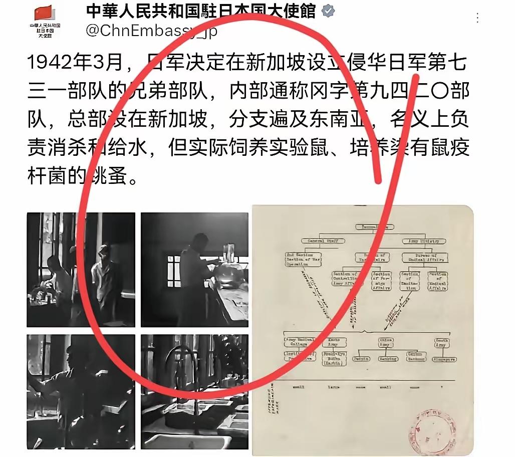 最近网上炸锅了，中国驻日大使馆突然晒出1942年的档案，说当时日本在新加坡搞了个