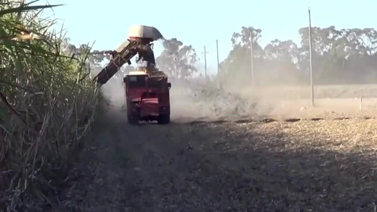 超级农机甘蔗收割机，这是什么牌子的车头好夸张！