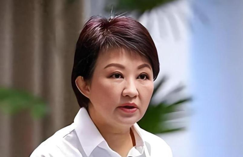 2028，卢秀燕彻底没戏。台中议会开会，台中议员突然向卢秀燕发难，指出卢秀燕8年