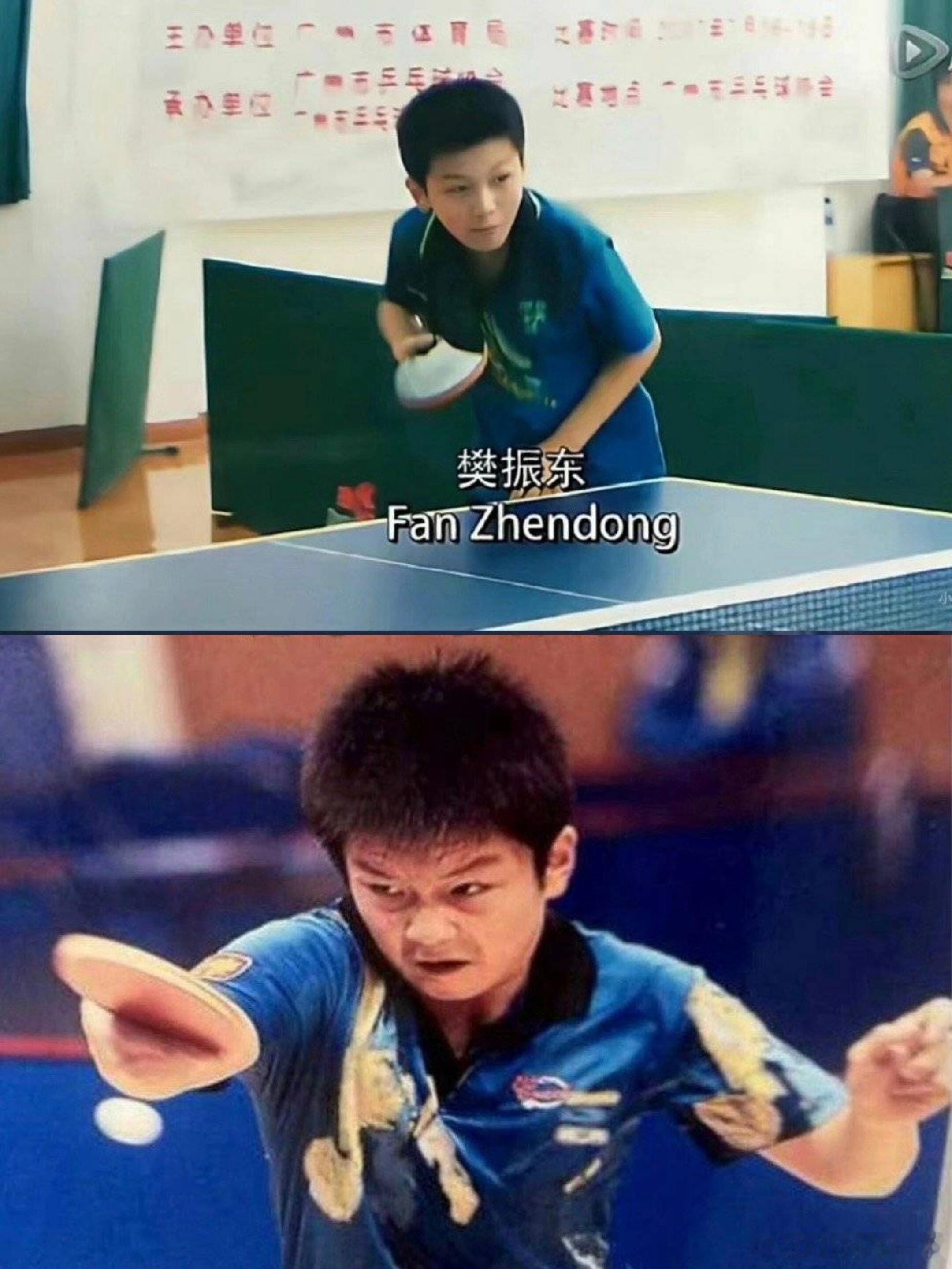 糯唧唧的幼东，时间未曾改变樊振东的可爱🐼