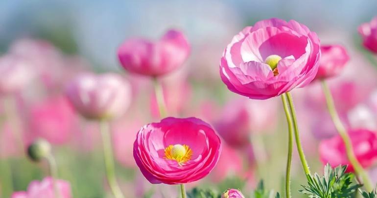 突然发现，当你不在乎，任何人的感觉，当你不想，去讨好任何人，当你不介意