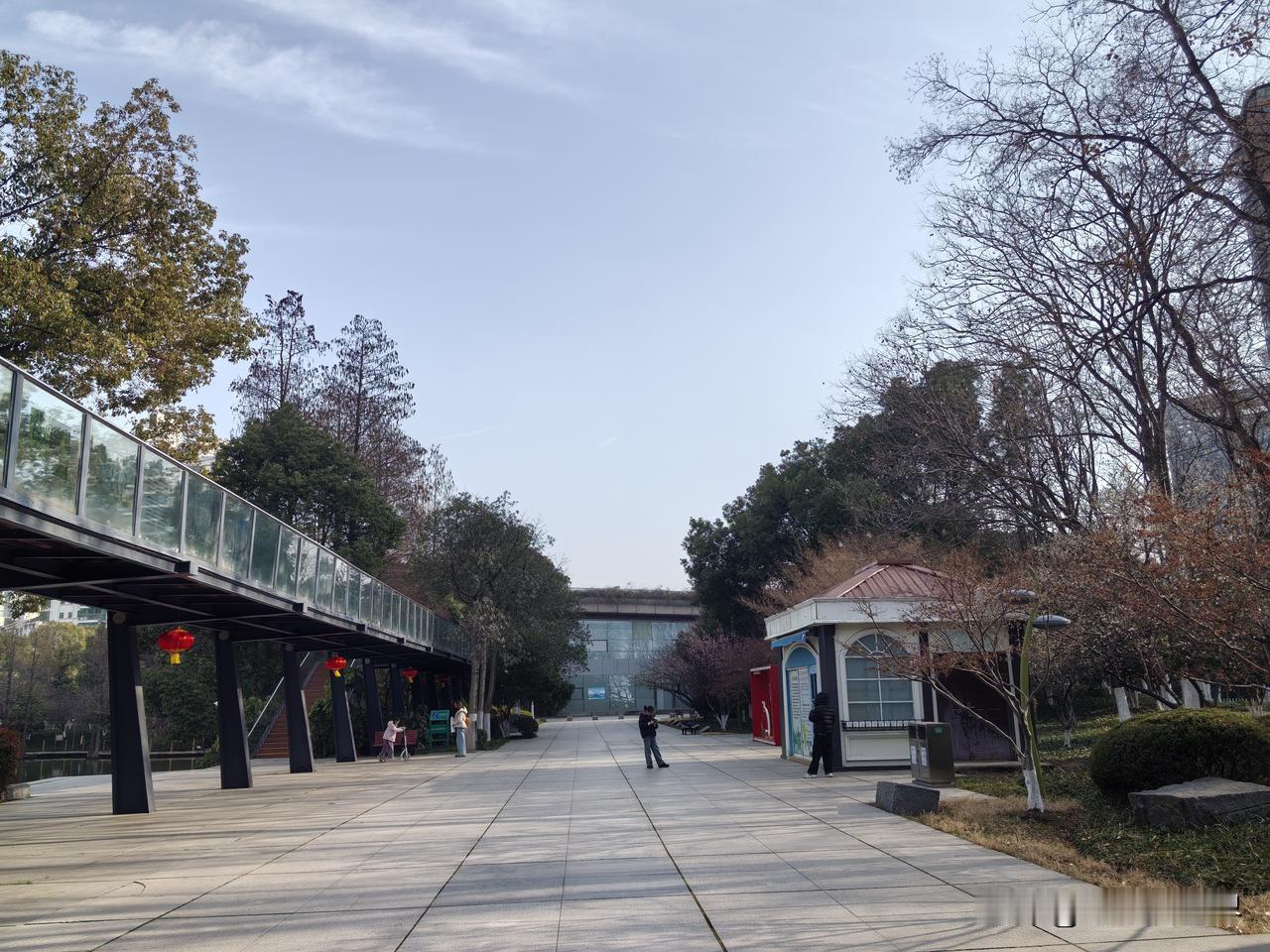 我们这里有个女人，她做的是殡葬业一条龙服务的生意，能挣到钱，但过年却觉得特别凄凉