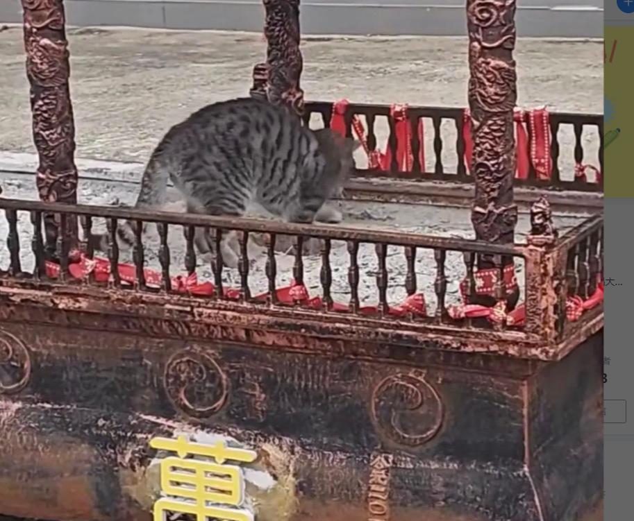 福建两男子去寺庙偷东西，不偷金佛也不偷功德箱，专门扒寺庙里的灰，3个月扒了446