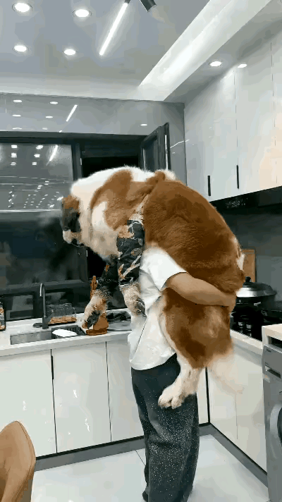 和狗狗感情挺深的呀😄