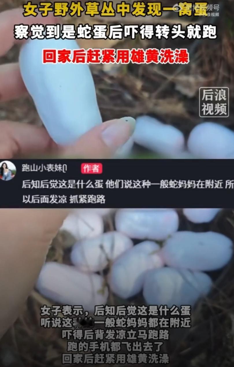 5月7日，据潮新闻报道，浙江一名女子周末户外爬山时，在路边草丛里意外发现一