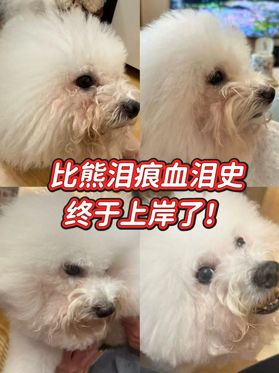 去泪痕我是真有一套~